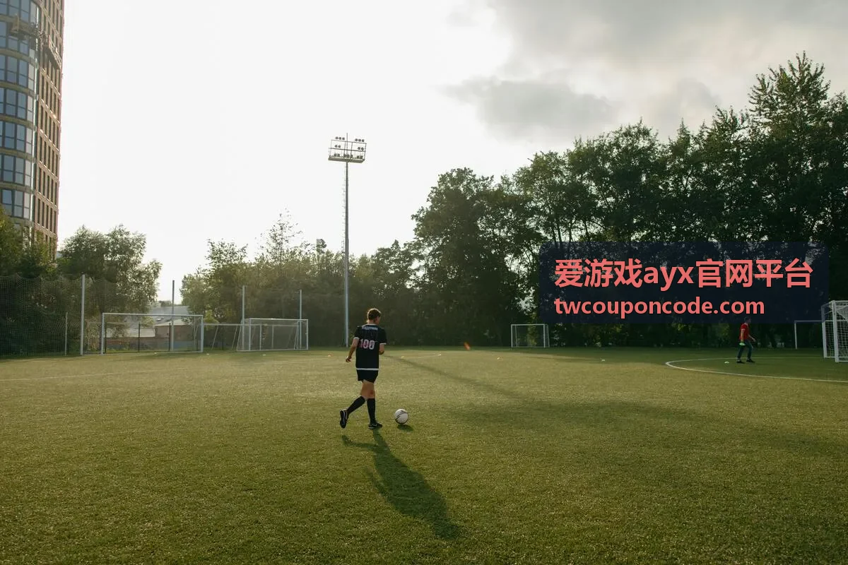 爱游戏ayx官网平台电脑端兑换码填写位置示意图