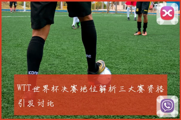 WTT世界杯决赛地位解析三大赛资格引发讨论