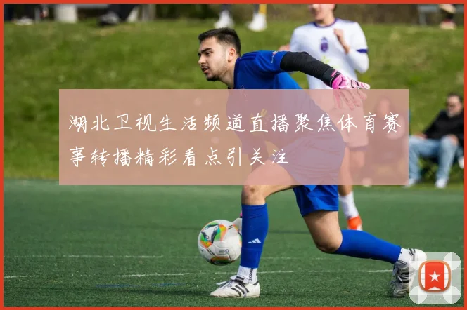 湖北卫视生活频道直播聚焦体育赛事转播精彩看点引关注