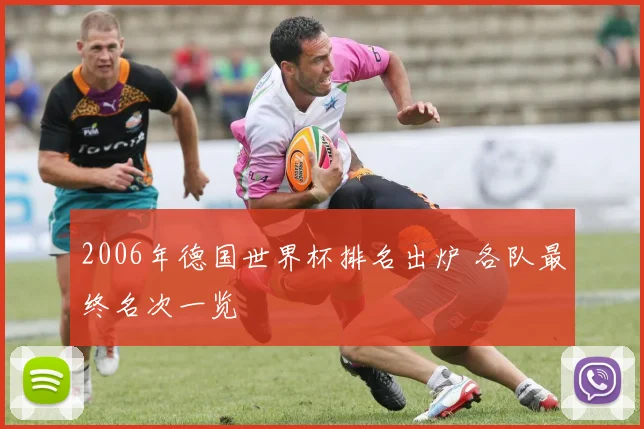 2006年德国世界杯排名出炉 各队最终名次一览