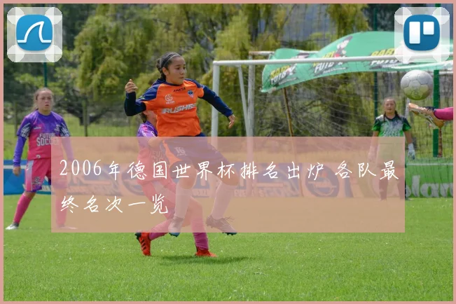 2006年德国世界杯排名出炉 各队最终名次一览